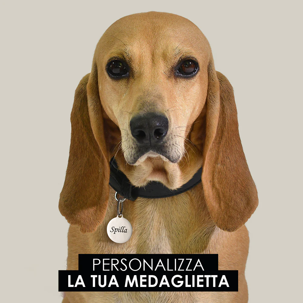 Miniatura 10